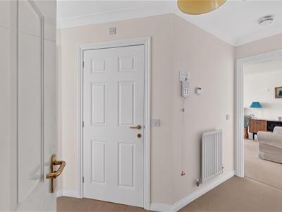 Picture 15